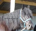 Kerella