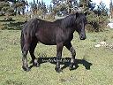 Quito