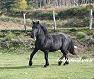 Quito