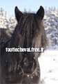 Hiver 2009-2010