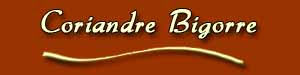 Coriandre Bigorre, étalon Mérens